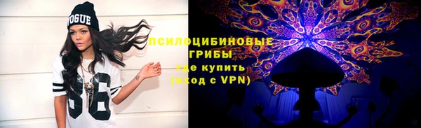 бошки Вяземский