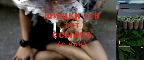 бошки Вяземский