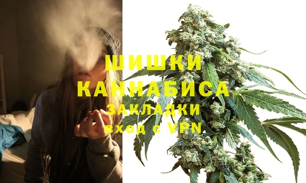 бошки Вяземский