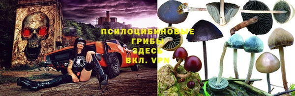 бошки Вяземский