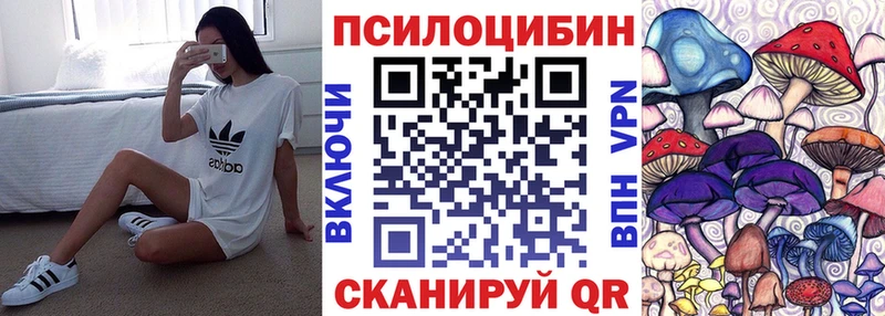 Купить где  Каменск-Уральский  Галлюциногенные грибы прущие грибы 