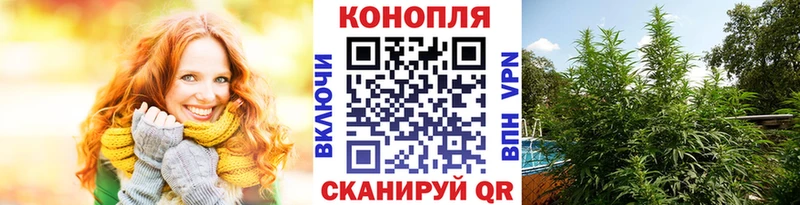 Каннабис Bruce Banner  Купить закладки  Каменск-Уральский 